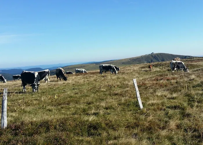 Lumineux 3 Chambres, Terrasse, Proche Commerces Et Ski, Avec Wifi - Fr-1-589-677 아파트 *