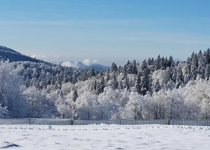 아파트 Lumineux 3 Chambres, Terrasse, Proche Commerces Et Ski, Avec Wifi - Fr-1-589-677 *