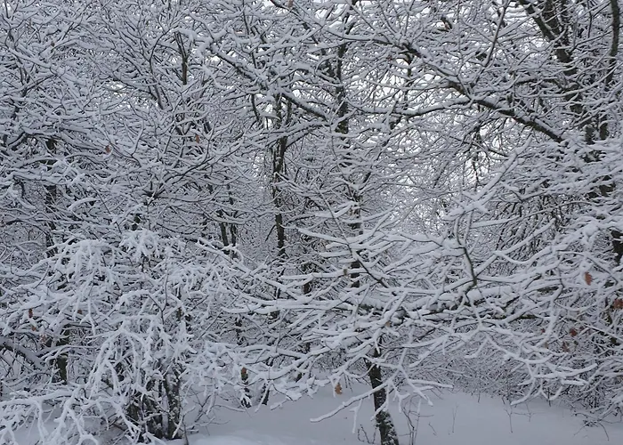 Lumineux 3 Chambres, Terrasse, Proche Commerces Et Ski, Avec Wifi - Fr-1-589-677