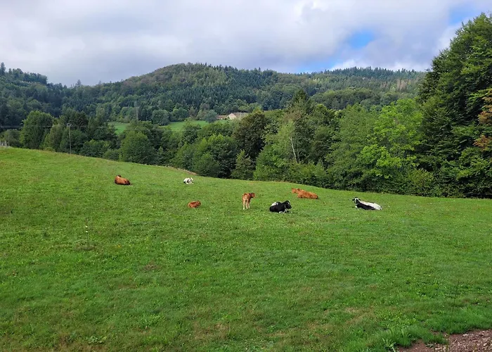 Lumineux 3 Chambres, Terrasse, Proche Commerces Et Ski, Avec Wifi - Fr-1-589-677 *